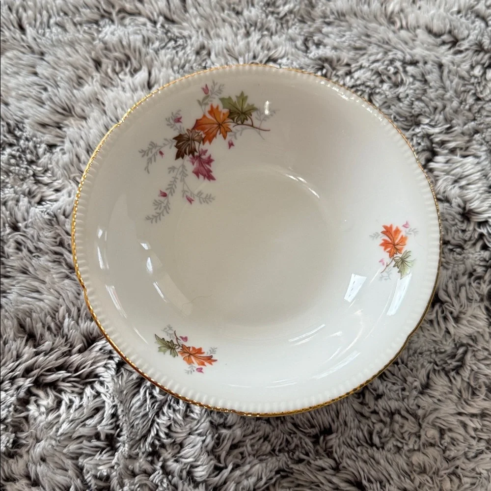 Winterling Bavaria‎ Germany Autumn Leaves Set of 4 Fruit Dessert Bowls 5.5